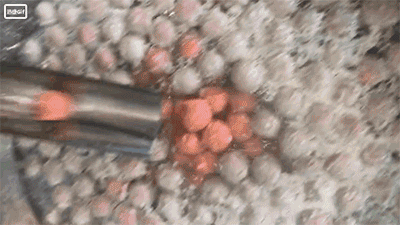 5bfe0ff82a167.gif 肉丸機(jī).gif